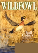 Wildfowl September 01, 2010 Issue Cover