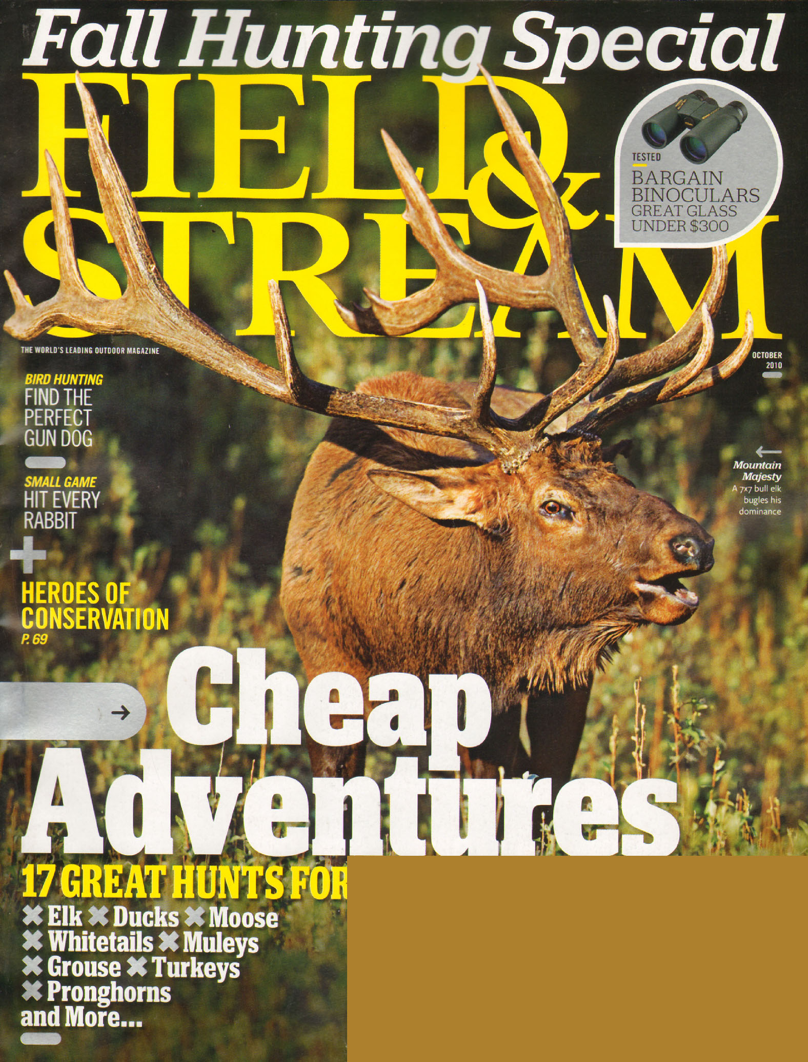field-and-stream October 01, 2010 Issue Cover