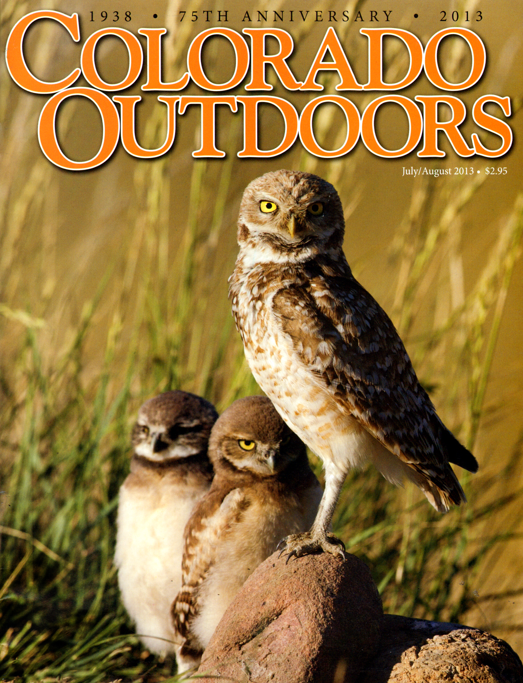 Colorado-Outdoors July 01, 2013 Issue Cover