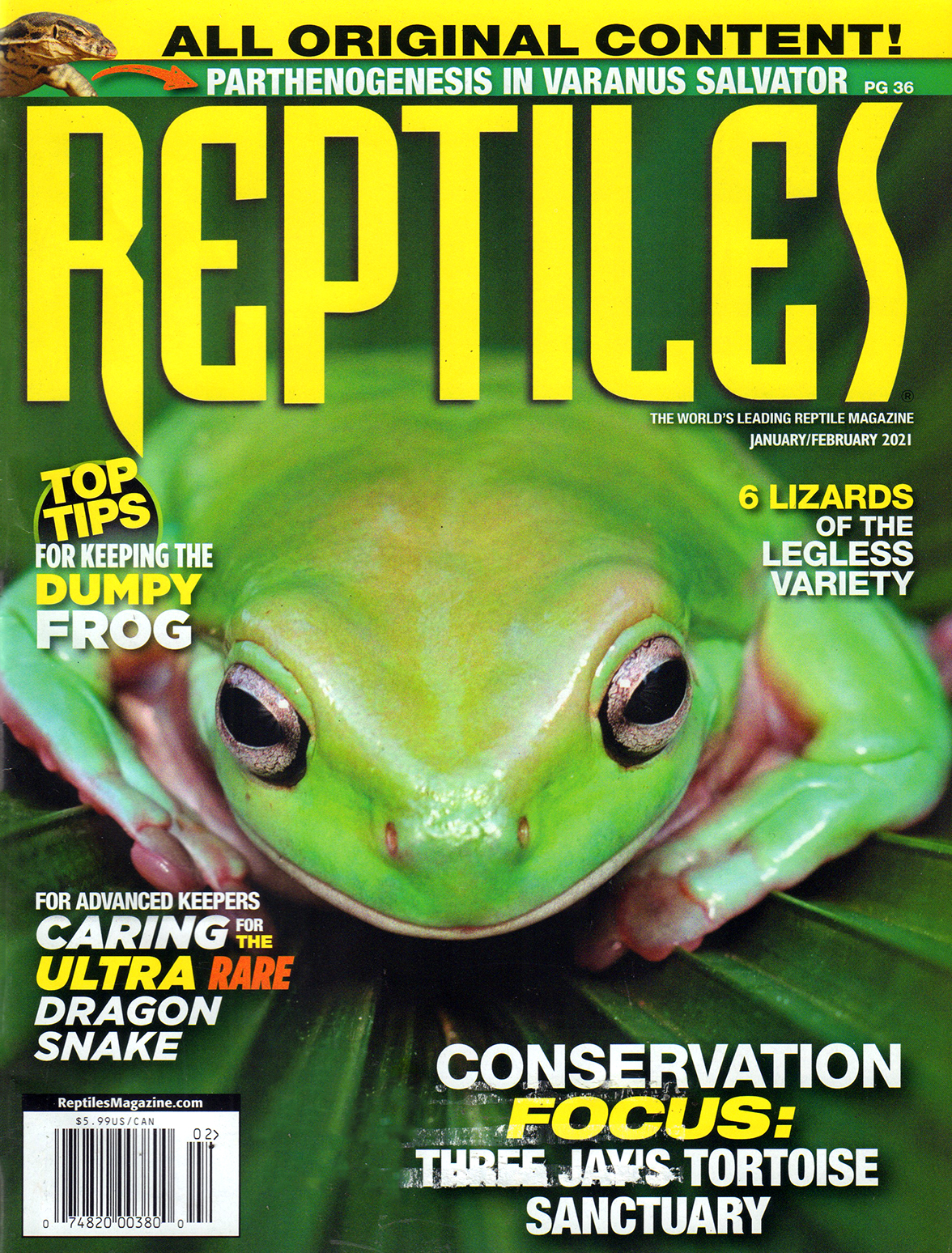 Reptiles January 01, 2021 Issue Cover