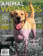 Animal-Wellness April 01, 2020 Issue Cover