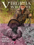 Virginia-Wildlife March 01, 2019 Issue Cover