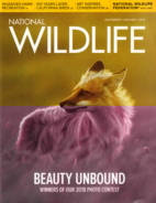 National-Wildlife December 01, 2018 Issue Cover