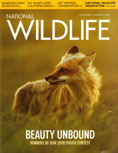 National Wildlife December 01, 2018 Issue Cover