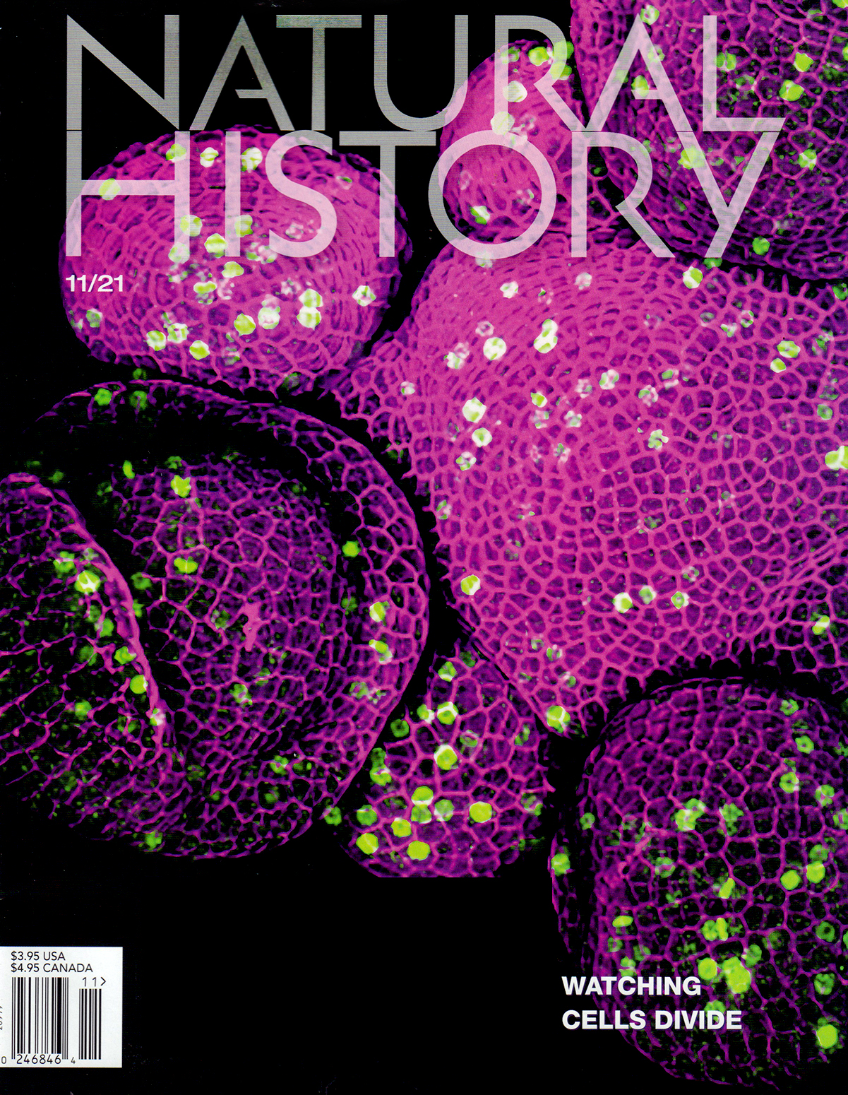 Natural-History November 01, 2021 Issue Cover