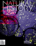 Natural-History November 01, 2021 Issue Cover