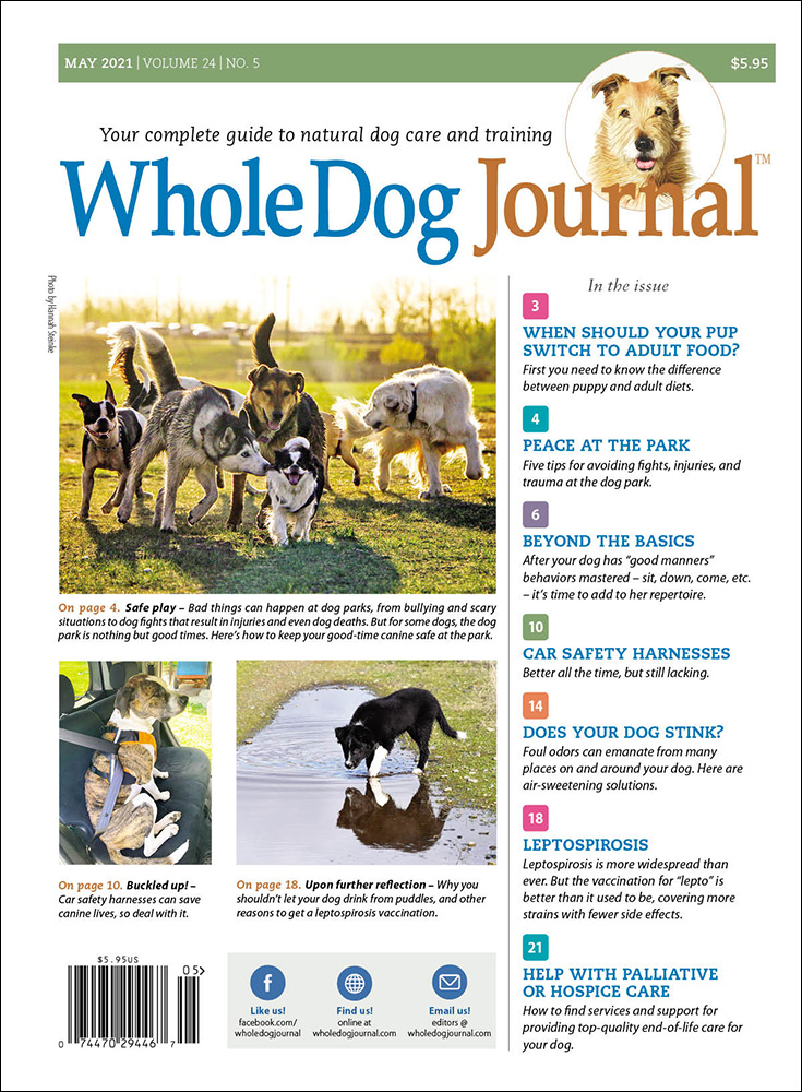 Whole-Dog-Journal May 01, 2021 Issue Cover