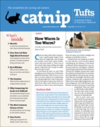 Catnip July 01, 2021 Issue Cover