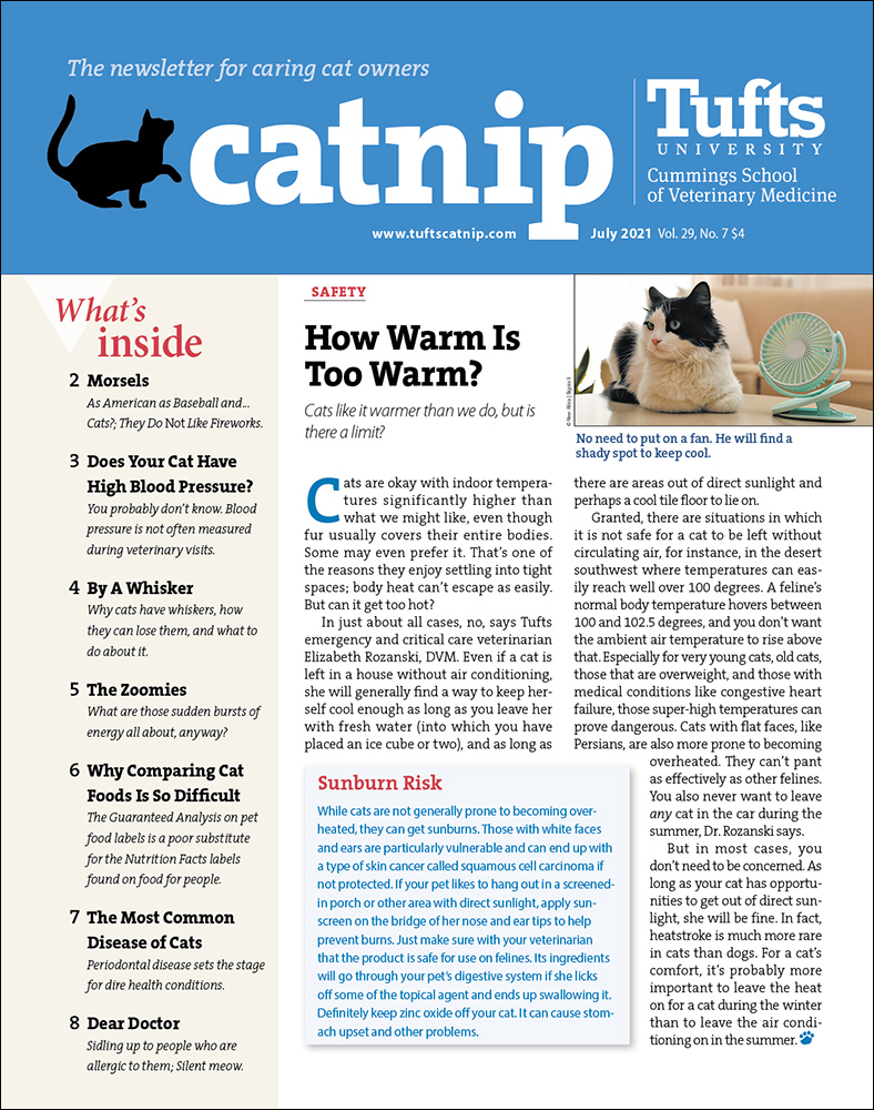 Catnip July 01, 2021 Issue Cover