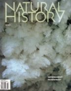 Natural-History February 01, 2020 Issue Cover