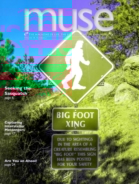 muse February 01, 2014 Issue Cover
