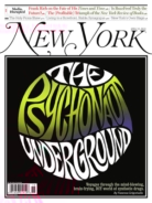 New-York-Magazine April 15, 2013 Issue Cover