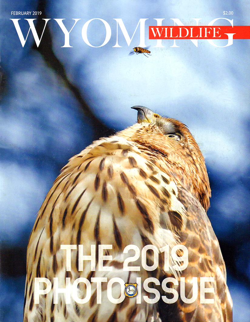 Wyoming-Wildlife February 01, 2019 Issue Cover