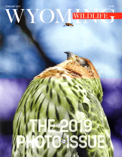Wyoming Wildlife February 01, 2019 Issue Cover
