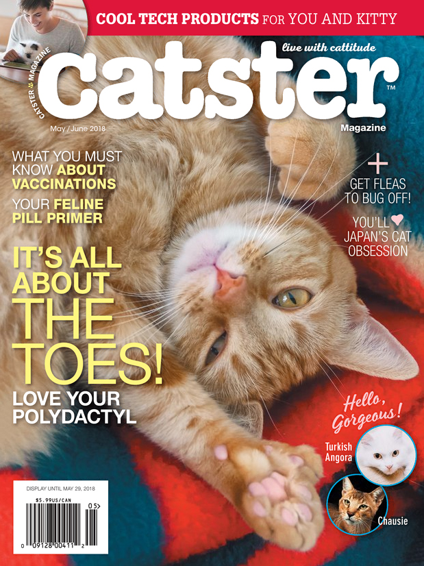 Catster May 01, 2018 Issue Cover