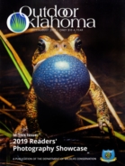 Outdoor-Oklahoma July 01, 2019 Issue Cover