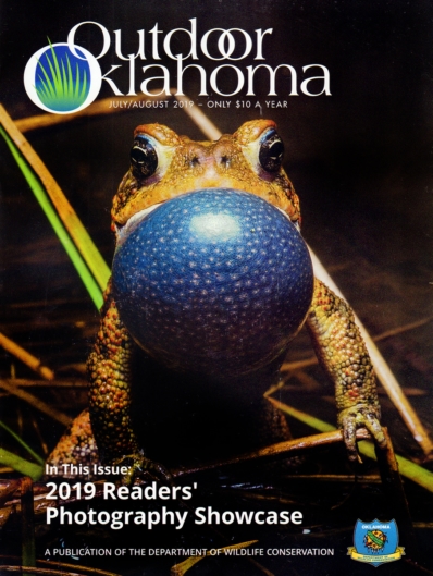 Outdoor Oklahoma July 01, 2019 Issue Cover