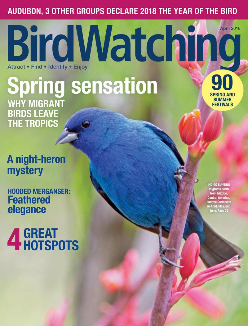 Bird-Watching April 01, 2018 Issue Cover