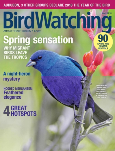 Bird Watching April 01, 2018 Issue Cover
