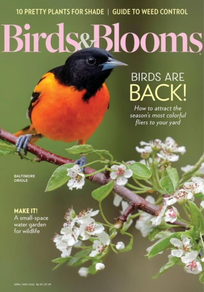 Birds & Blooms April 01, 2026 Issue Cover