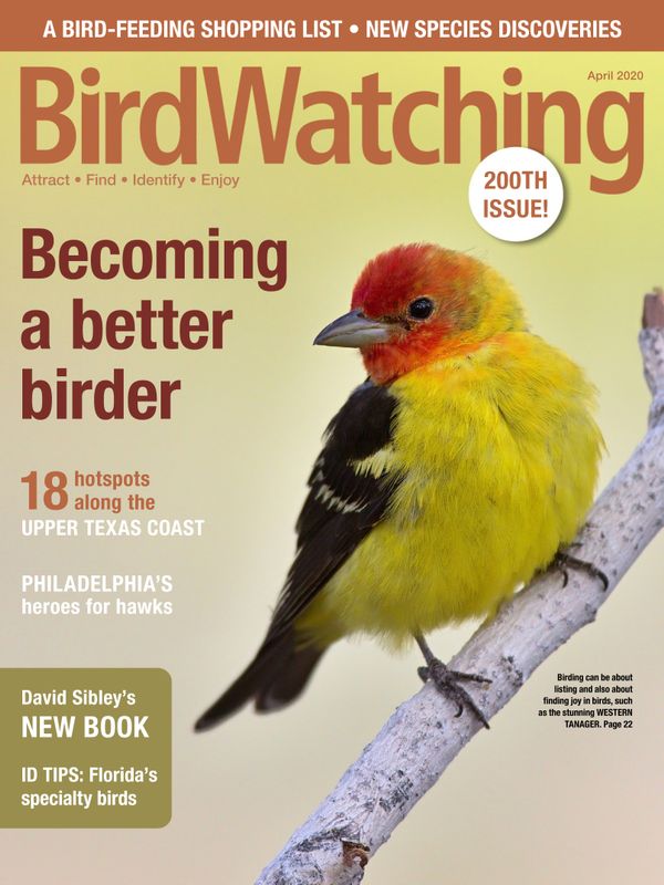 Bird-Watching April 01, 2020 Issue Cover