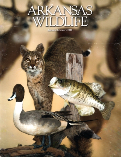 Arkansas Wildlife January 01, 2016 Issue Cover