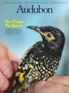 Audubon September 01, 2020 Issue Cover
