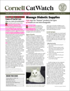 Catwatch February 01, 2023 Issue Cover