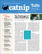 Catnip January 01, 2019 Issue Cover