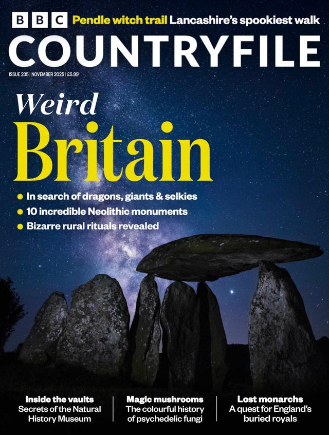 BBC Countryfile November 01, 2025 Issue Cover