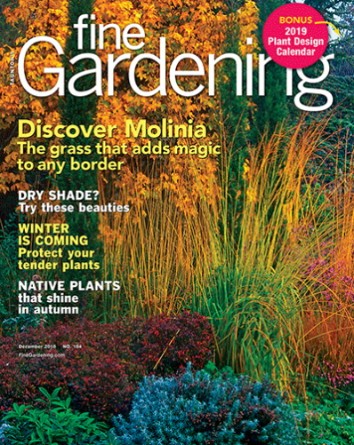 Fine Gardening December 01, 2018 Issue Cover