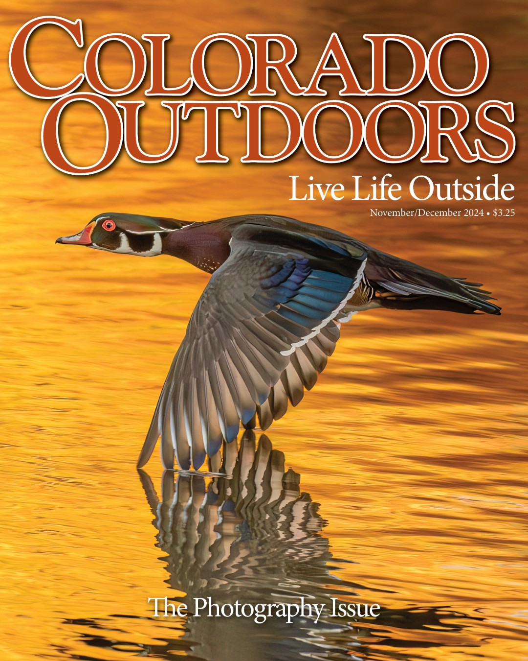 Colorado-Outdoors November 01, 2024 Issue Cover