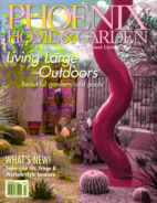 Phoenix-Home-and-Garden April 01, 2015 Issue Cover