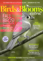 Birds & Blooms Extra October 01, 2025 Issue Cover