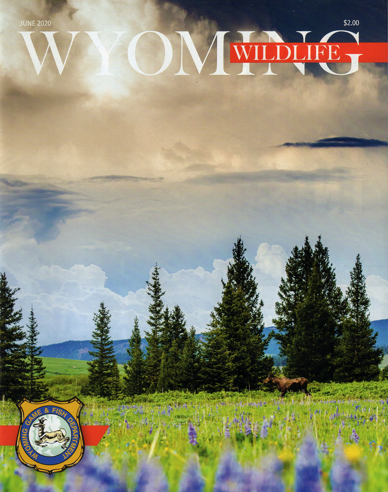 Wyoming-Wildlife June 01, 2020 Issue Cover