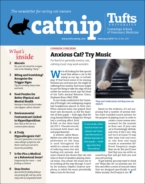 Catnip February 01, 2019 Issue Cover