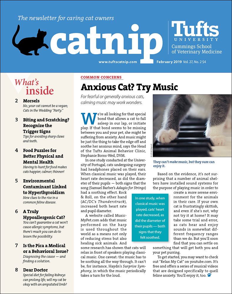 Catnip February 01, 2019 Issue Cover