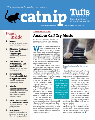 Catnip February 01, 2019 Issue Cover