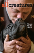 All-Creatures January 01, 2018 Issue Cover