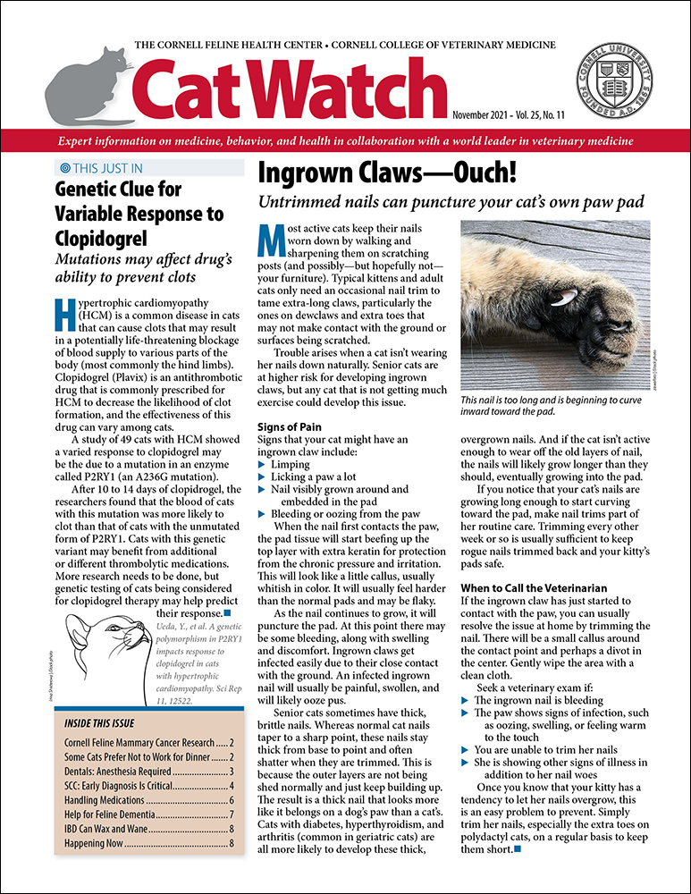 Catwatch November 01, 2021 Issue Cover