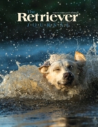 The-Retriever-Journal August 01, 2024 Issue Cover
