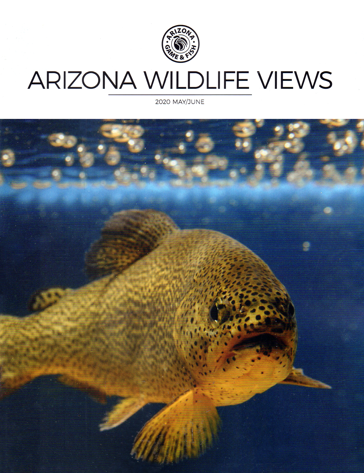 Arizona-Wildlife-Views May 01, 2020 Issue Cover