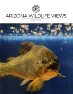 Arizona-Wildlife-Views May 01, 2020 Issue Cover