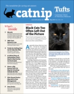 Catnip May 01, 2019 Issue Cover