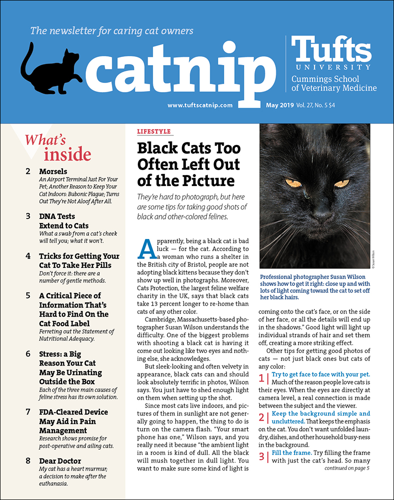 Catnip May 01, 2019 Issue Cover