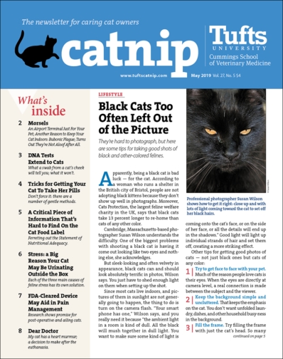 Catnip May 01, 2019 Issue Cover