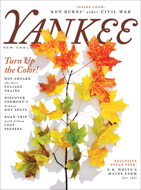 Yankee September 01, 2017 Issue Cover