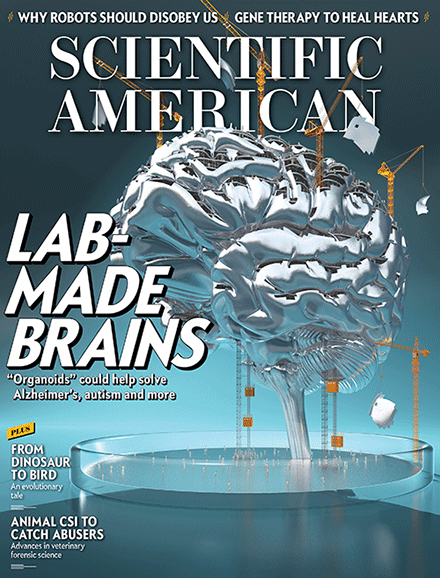 Scientific-American January 01, 2017 Issue Cover