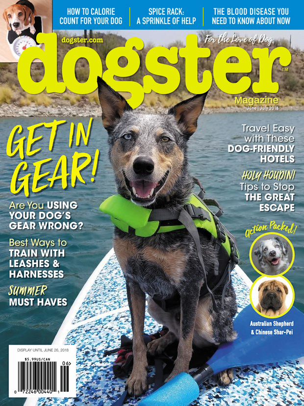 Dogster June 01, 2018 Issue Cover