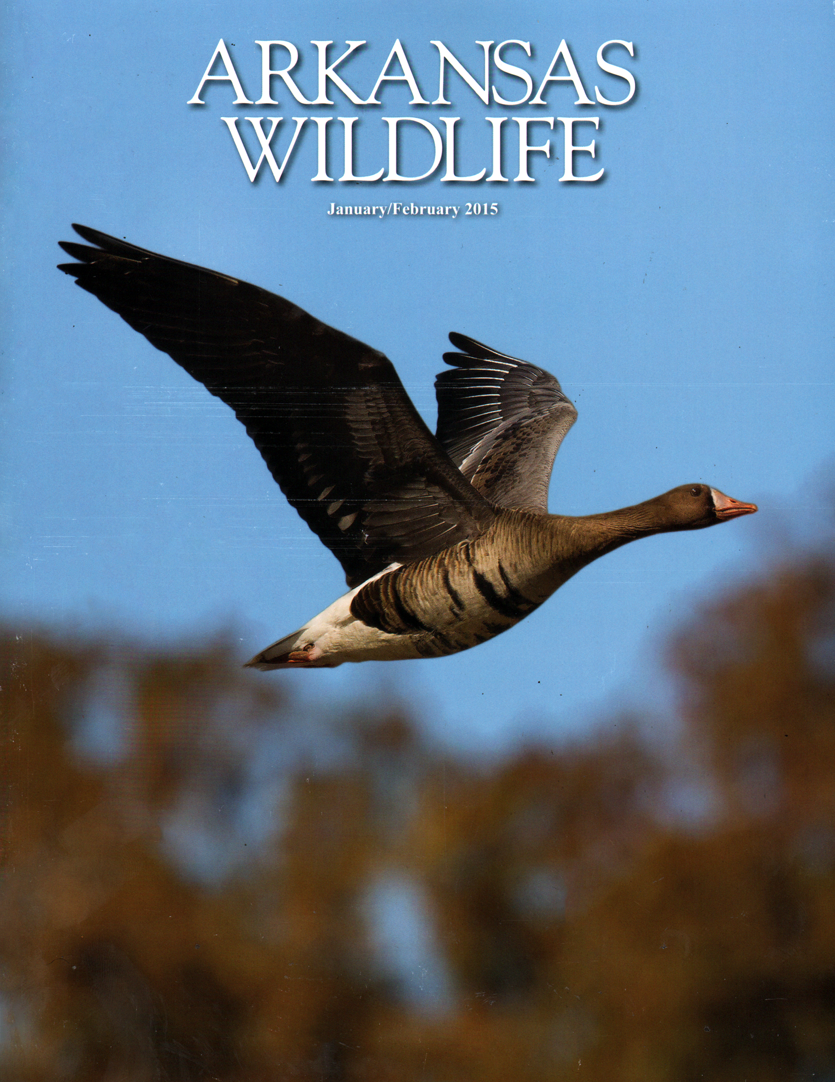 Arkansas-Wildlife January 01, 2015 Issue Cover